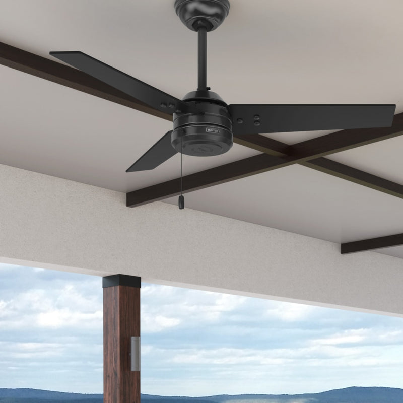 Hunter 44-Inch Cassius Matte Black Outdoor Ceiling Fan