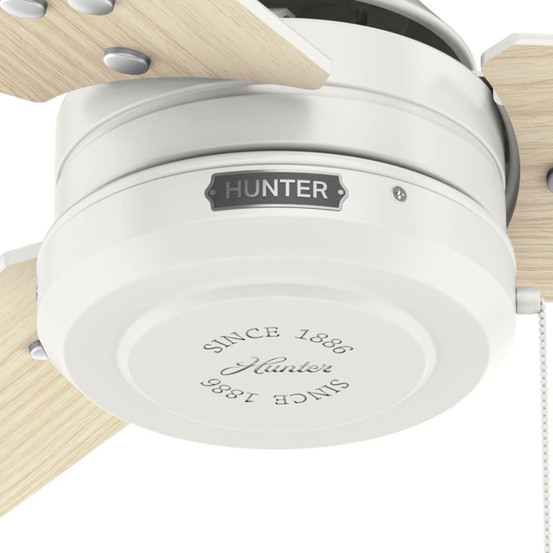 Hunter 44-Inch Cassius Fresh White Outdoor Ceiling Fan