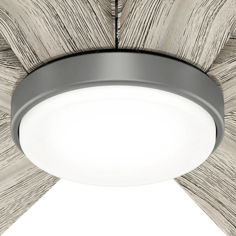 Hunter 58-Inch Rhinebeck Ceiling Fan with LED Light - Matte Silver/Weathered White Birch