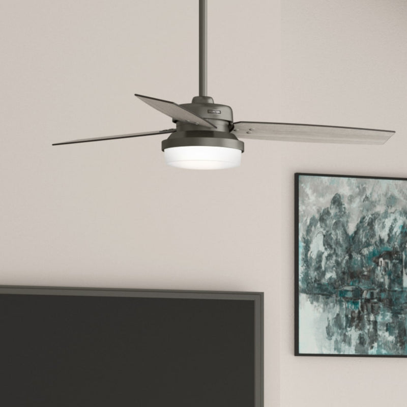Hunter 52-Inch Sentinel Brushed Slate Ceiling Fan