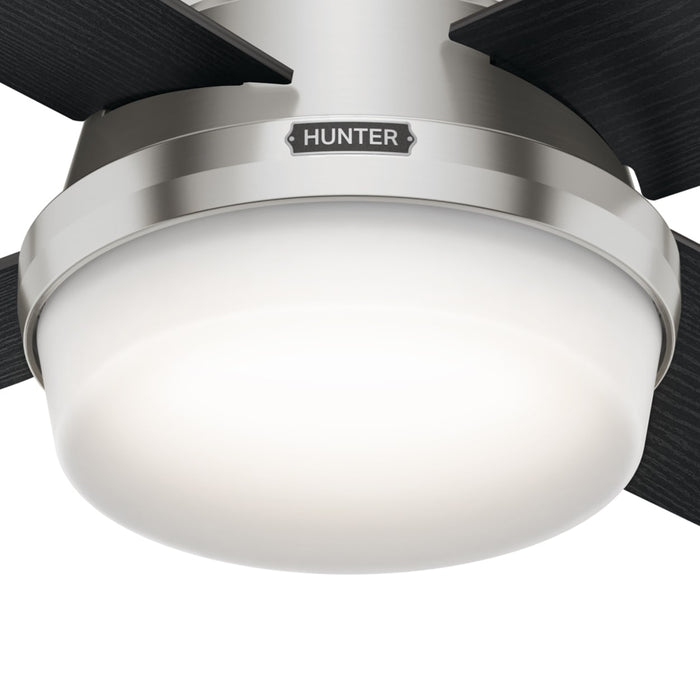 Hunter 44-Inch Dempsey Light Brushed Nickel Low Profile Ceiling Fan