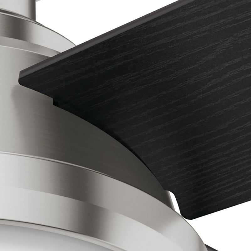 Hunter 44-Inch Dempsey Light Brushed Nickel Low Profile Ceiling Fan