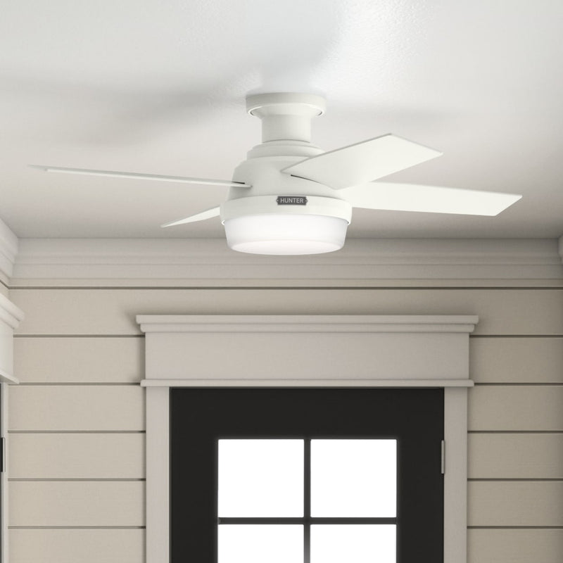 Hunter 44-Inch Dempsey Light Fresh White Low Profile Ceiling Fan