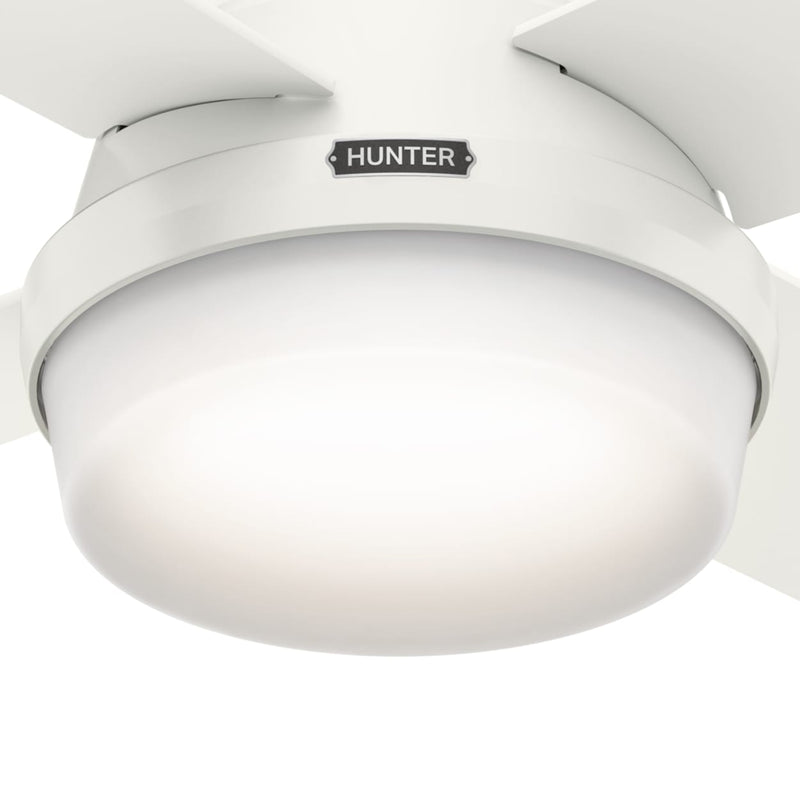 Hunter 44-Inch Dempsey Light Fresh White Low Profile Ceiling Fan