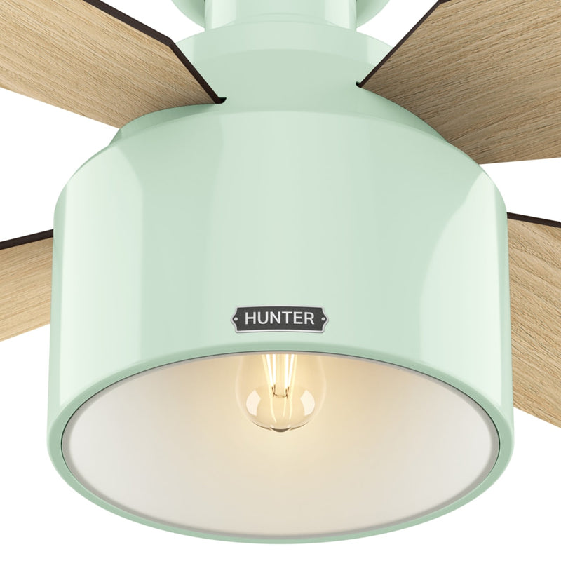 Hunter 52-Inch Cranbrook Low Profile Mint Ceiling Fan