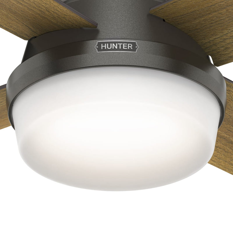 Hunter 44-Inch Dempsey Light Noble Bronze Low Profile Ceiling Fan