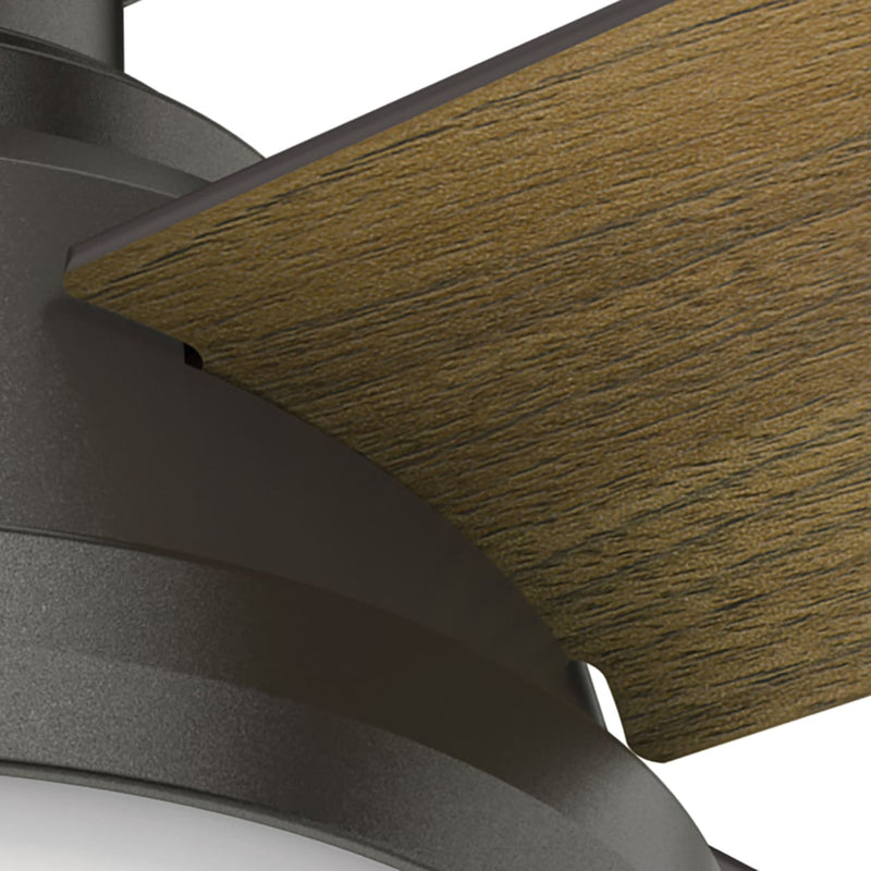 Hunter 44-Inch Dempsey Light Noble Bronze Low Profile Ceiling Fan
