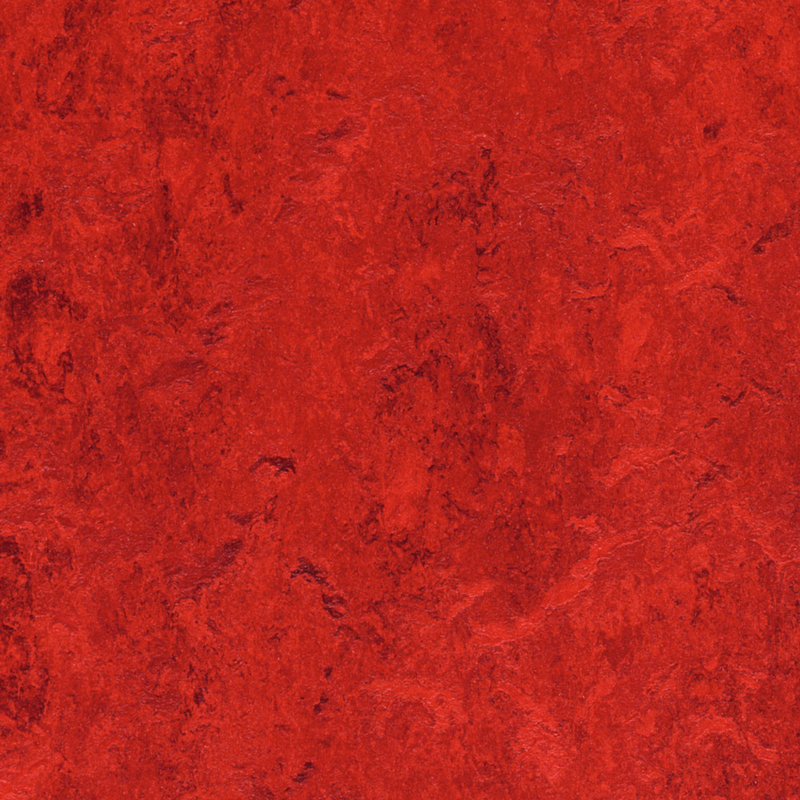 Forbo Marmoleum CinchLoc Seal Laminate Flooring - 12 x 36 Inch Planks