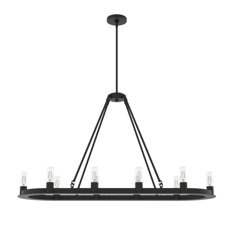 Hunter Saddlewood 10 Light Chandelier in Natural Iron
