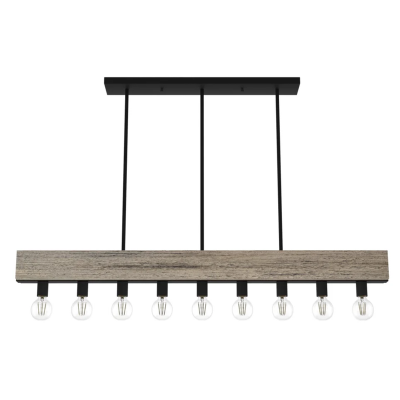 Hunter Donelson 9 Light Chandelier in Rustic Iron