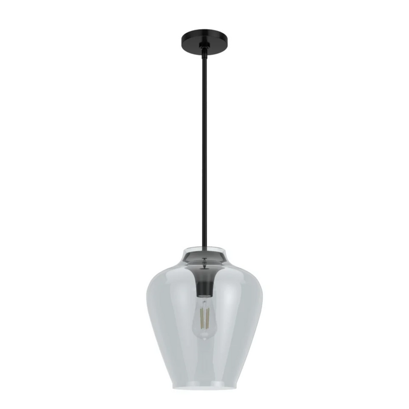 Hunter Vidria 1 Light Pendant in Matte Black