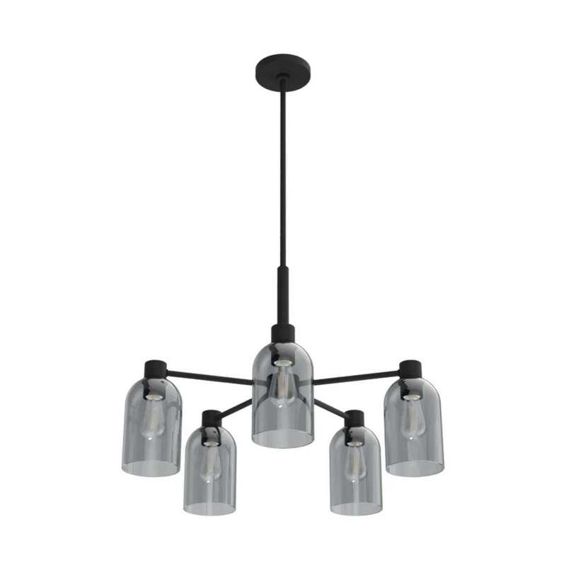 Hunter Lochemeade 5 Light Chandelier in Natural Iron
