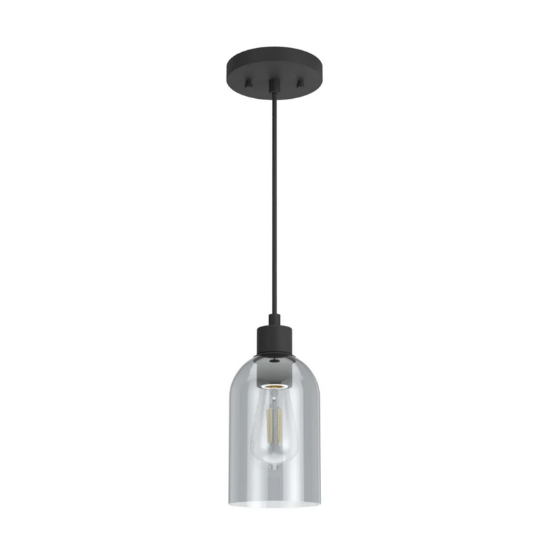 Hunter Lochemeade 1 Light Mini Pendant in Natural Iron