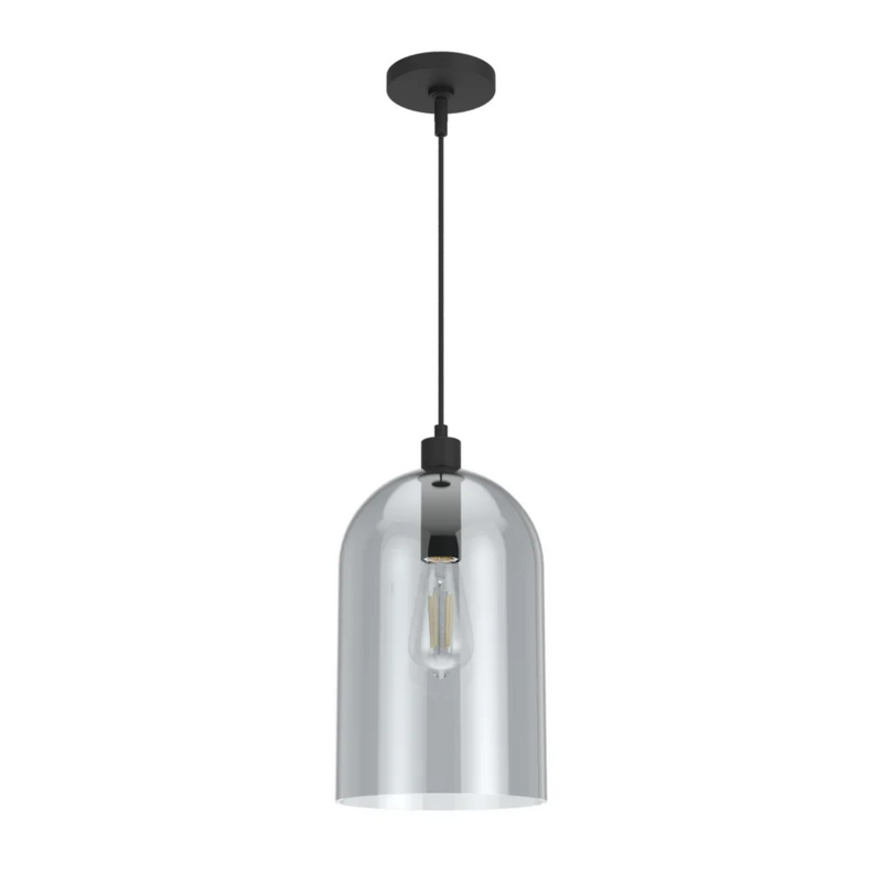 Hunter Lochemeade 1 Light Pendant in Natural Iron