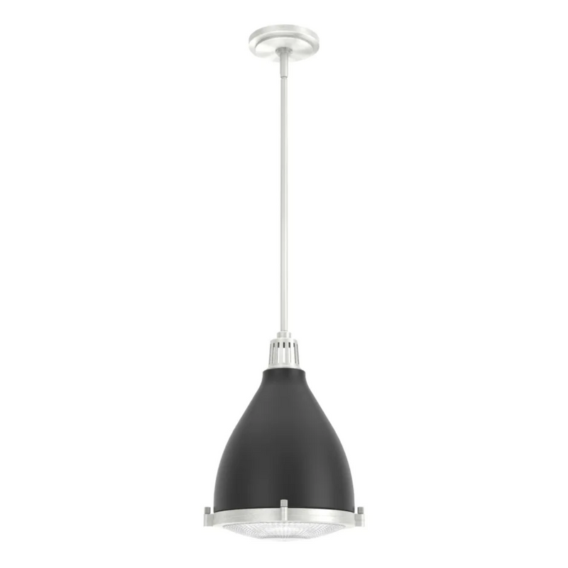Hunter Bluff View 1 Light Pendant in Flat Matte Black