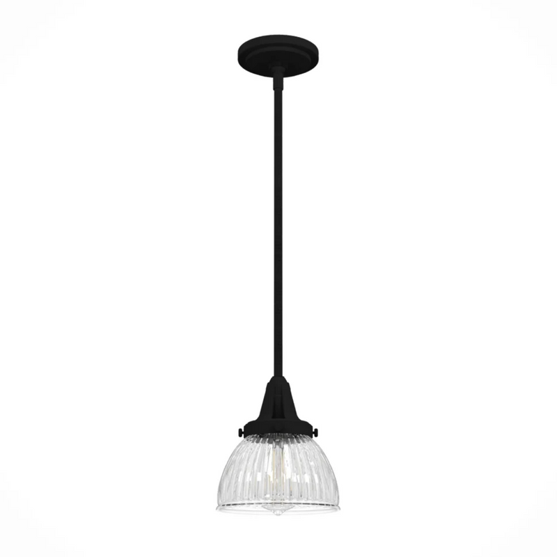 Hunter Cypress Grove 1 Light Mini Pendant in Natural Iron