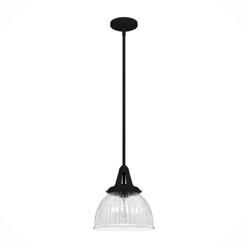 Hunter Cypress Grove 1 Light 10 Inch Pendant in Natural Iron