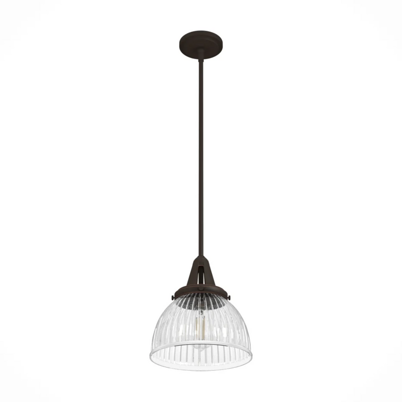 Hunter Cypress Grove 1 Light 10 Inch Pendant in Onyx Bengal
