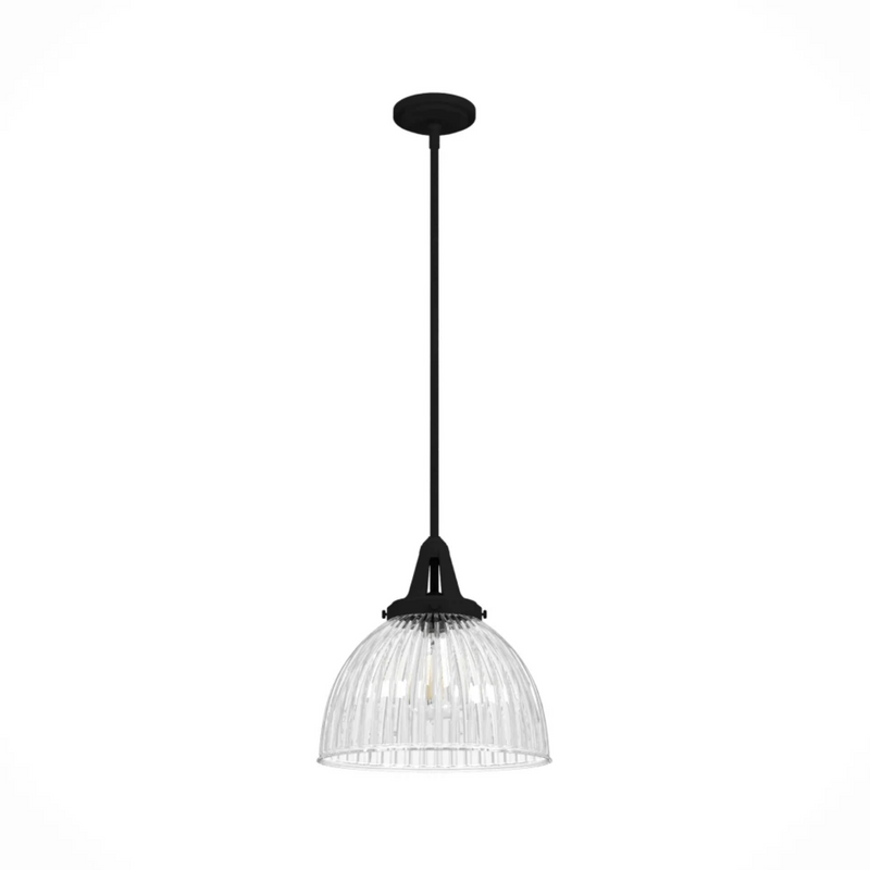 Hunter Cypress Grove 1 Light 13 Inch Pendant in Natural Iron