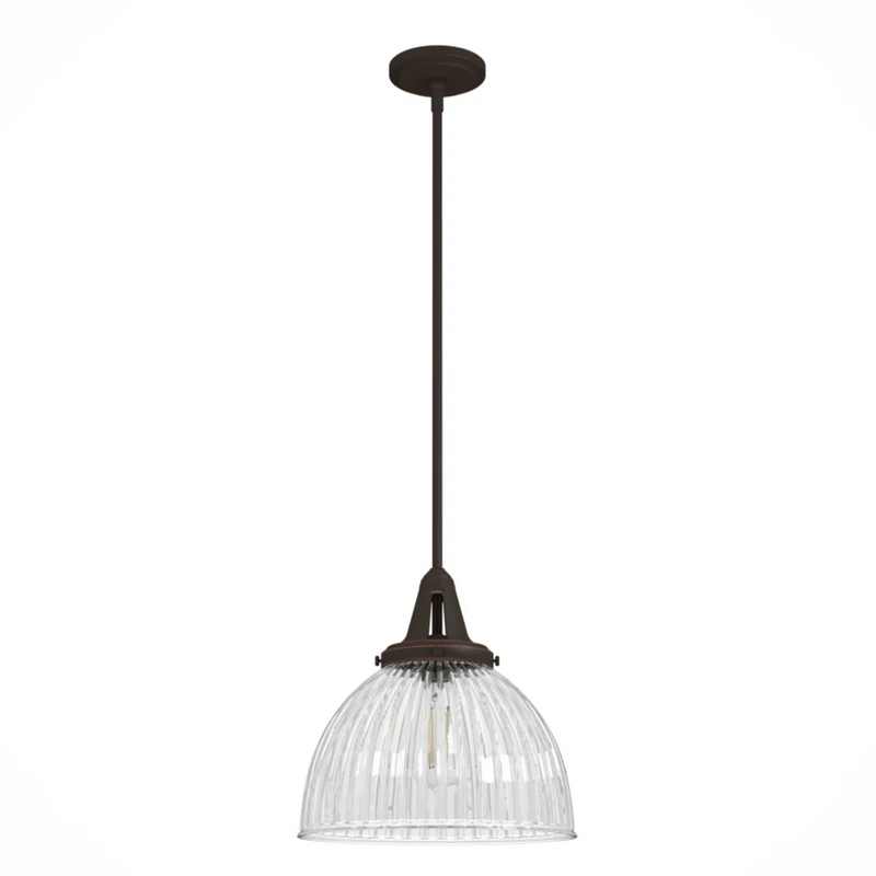 Hunter Cypress Grove 1 Light 13 Inch Pendant in Onyx Bengal