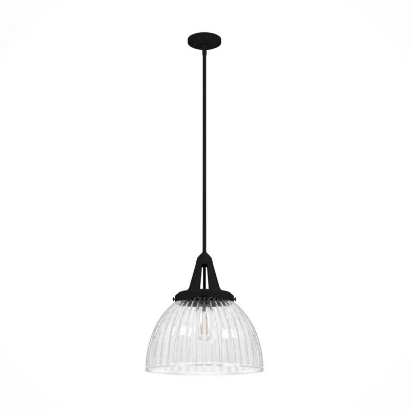 Hunter Cypress Grove 1 Light 16 Inch Pendant in Natural Iron