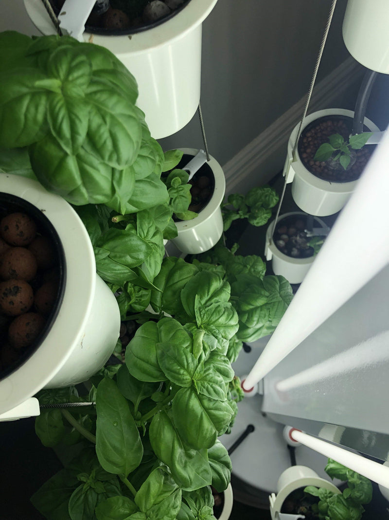 Nutritower Vertical Hydroponic Indoor Garden