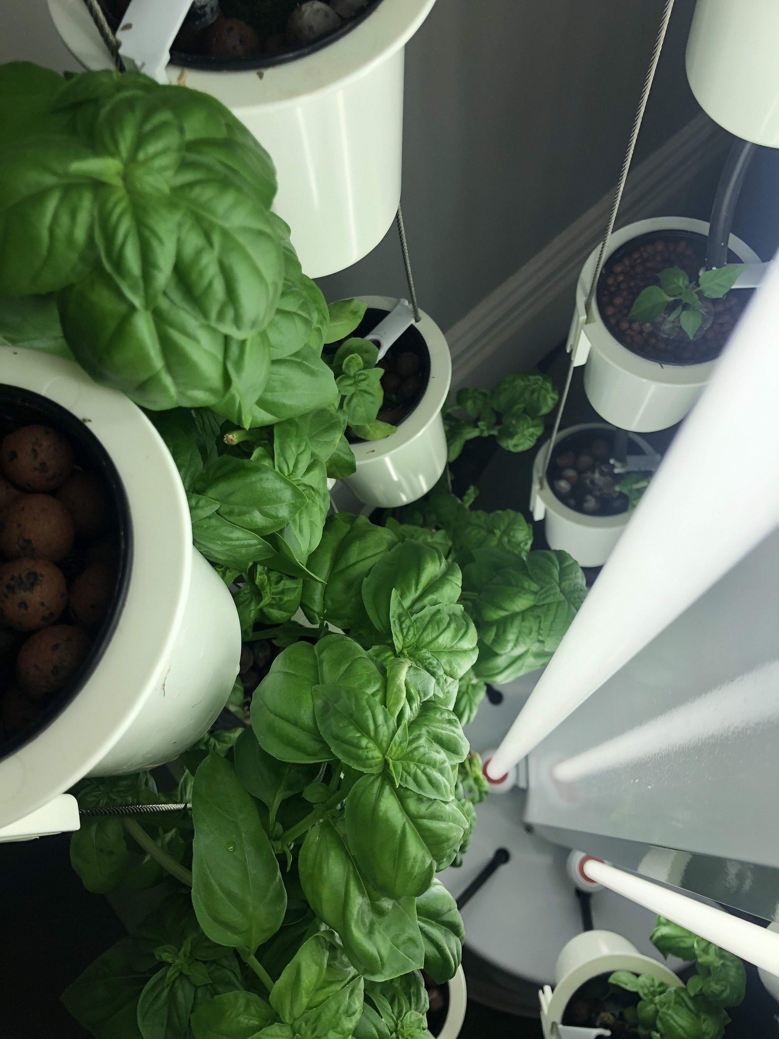 Nutritower Vertical Hydroponic Indoor Garden Rise