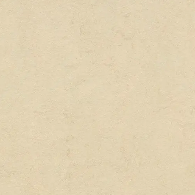 Forbo Marmoleum Click Cinch Loc Laminate Flooring 11.81 In x 11.81 In Squares - Box