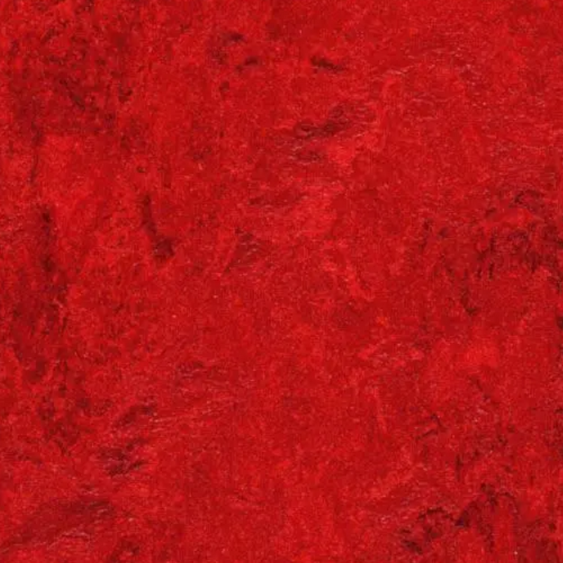 Forbo Marmoleum Click Cinch Loc Laminate Flooring 11.81 In x 11.81 In Squares - Box