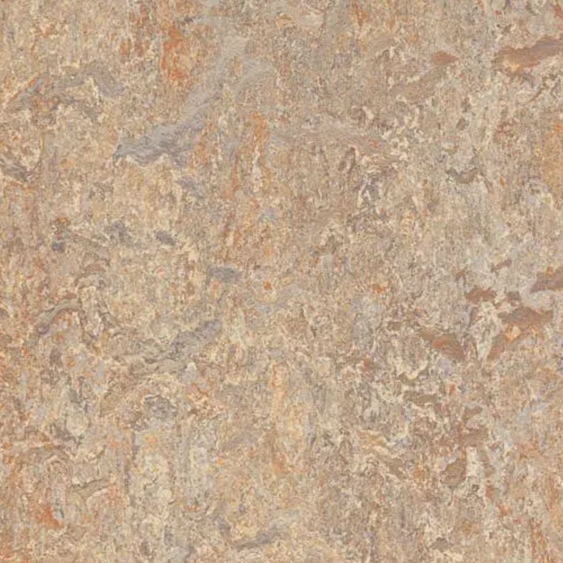 Forbo Marmoleum Click Cinch Loc Laminate Flooring 11.81 In x 11.81 In Squares - Box
