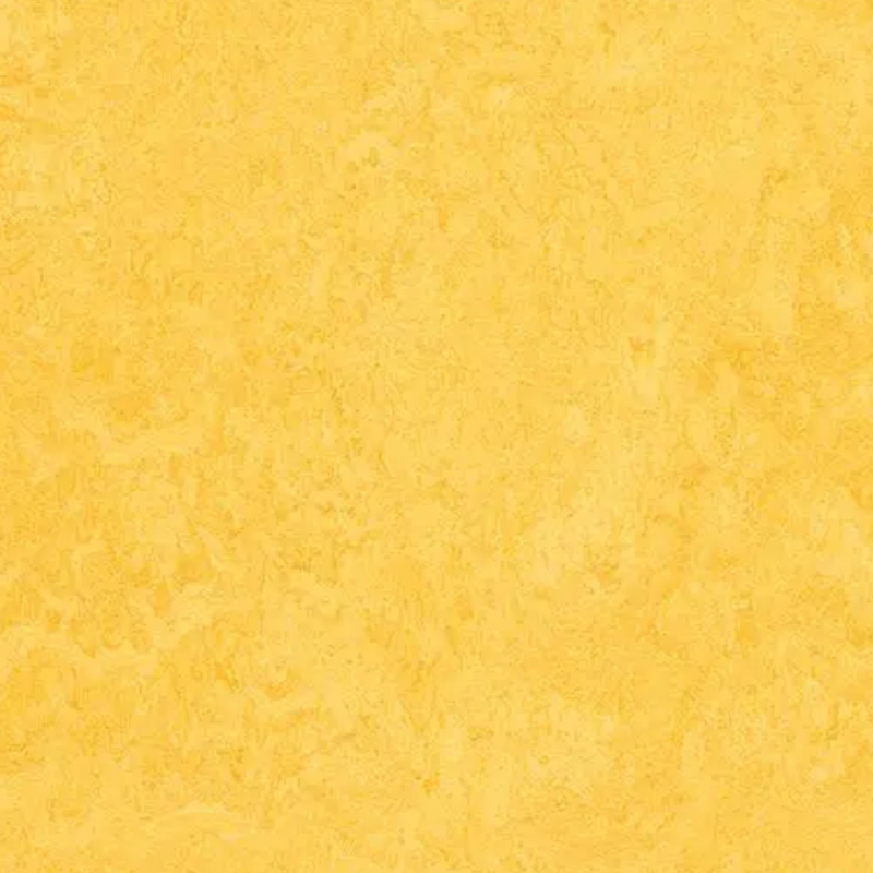 Forbo Marmoleum Click Cinch Loc Laminate Flooring 11.81 In x 11.81 In Squares - Box