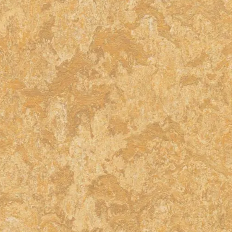 Forbo Marmoleum Click Cinch Loc Laminate Flooring 11.81 In x 11.81 In Squares - Box