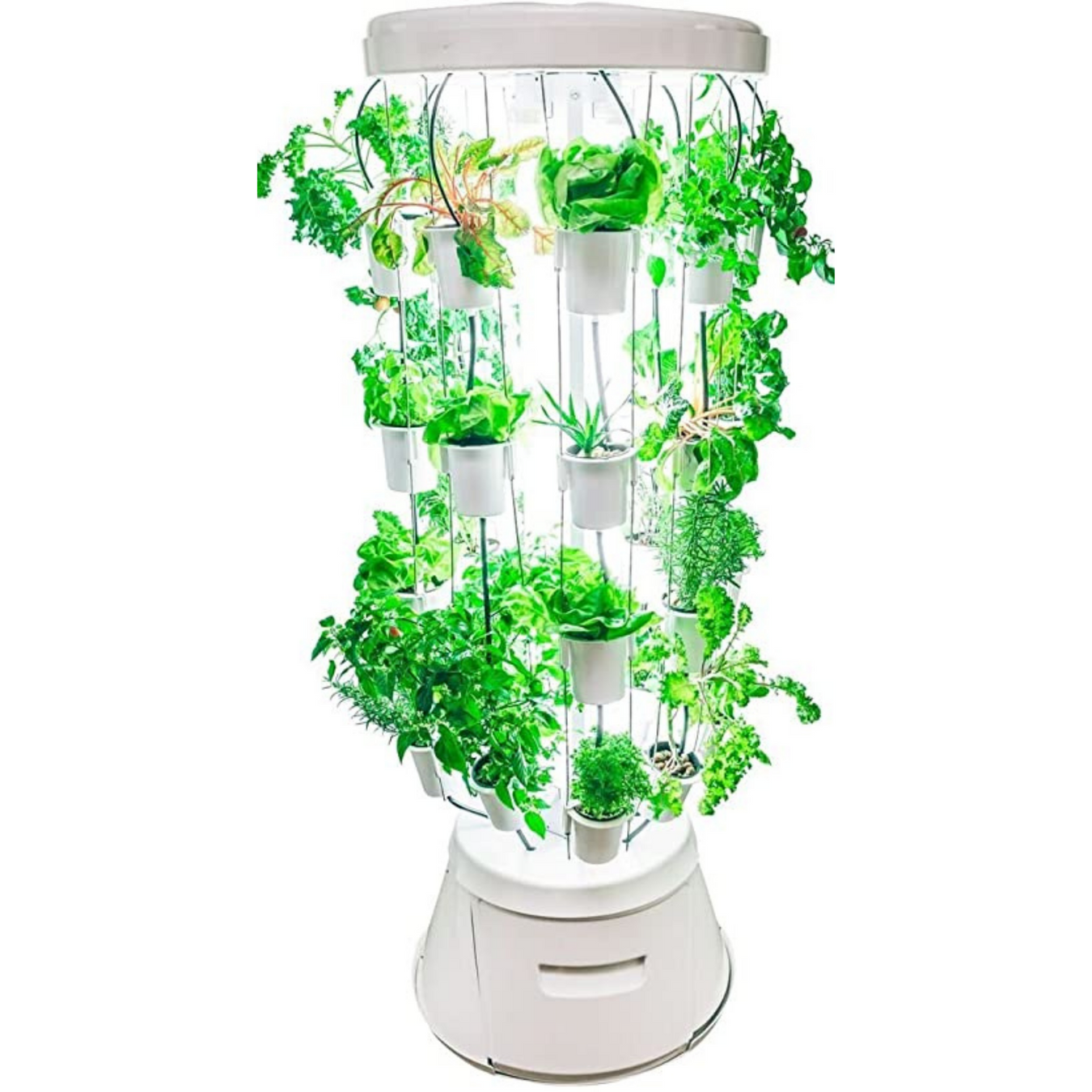 Indoor Gardening