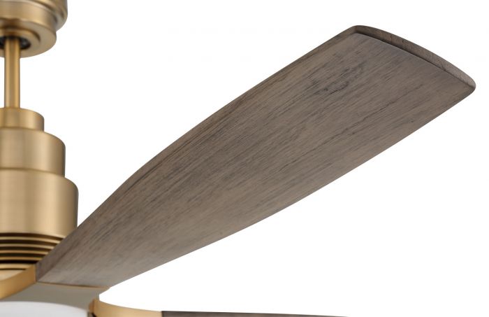 Craftmade Ricasso 60" Indoor Ceiling Fan