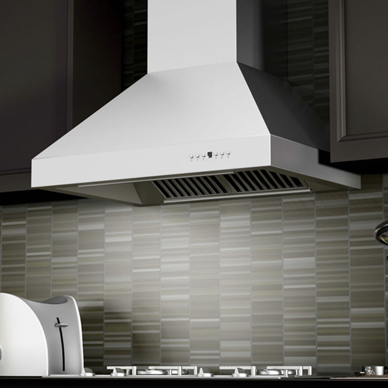 ZLINE 667-304 Convertible Outdoor Wall Mount Range Hood in Stainless Steel