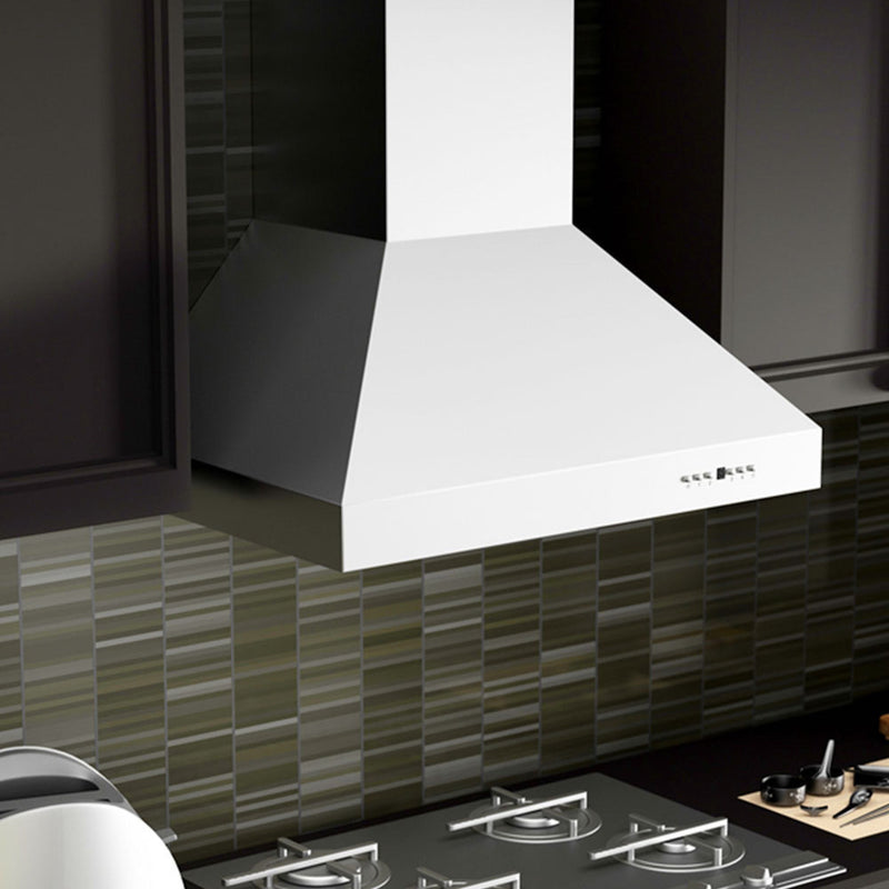 ZLINE 667-304 Convertible Outdoor Wall Mount Range Hood in Stainless Steel