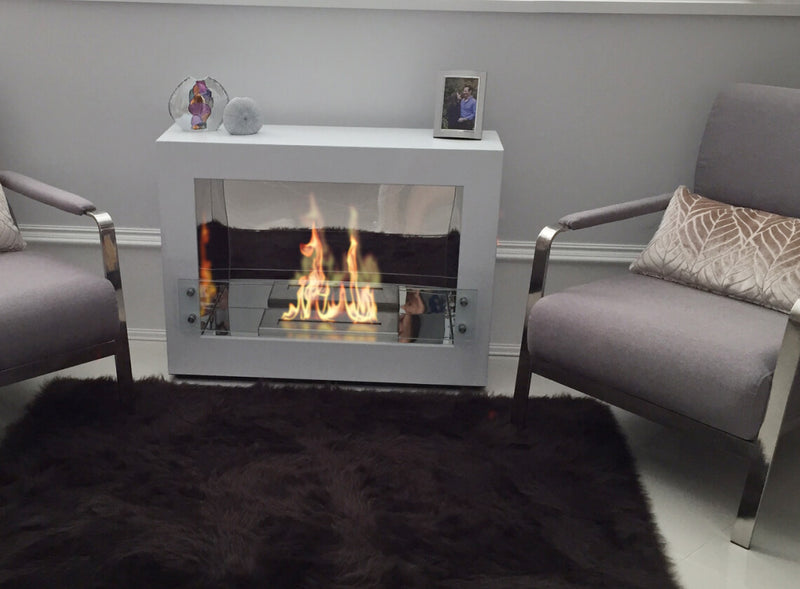 The Bio Flame Rogue 2.0 SS Free Standing Collection Ethanol Burner