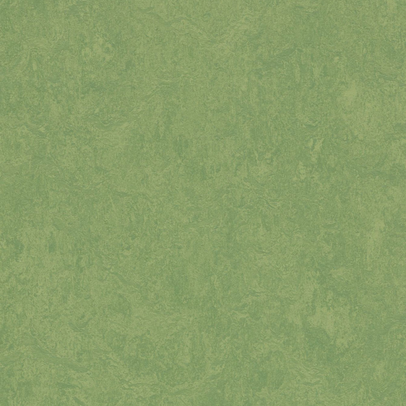 Forbo Marmoleum CinchLoc Seal Laminate Flooring -  12 x 12 Inch Squares