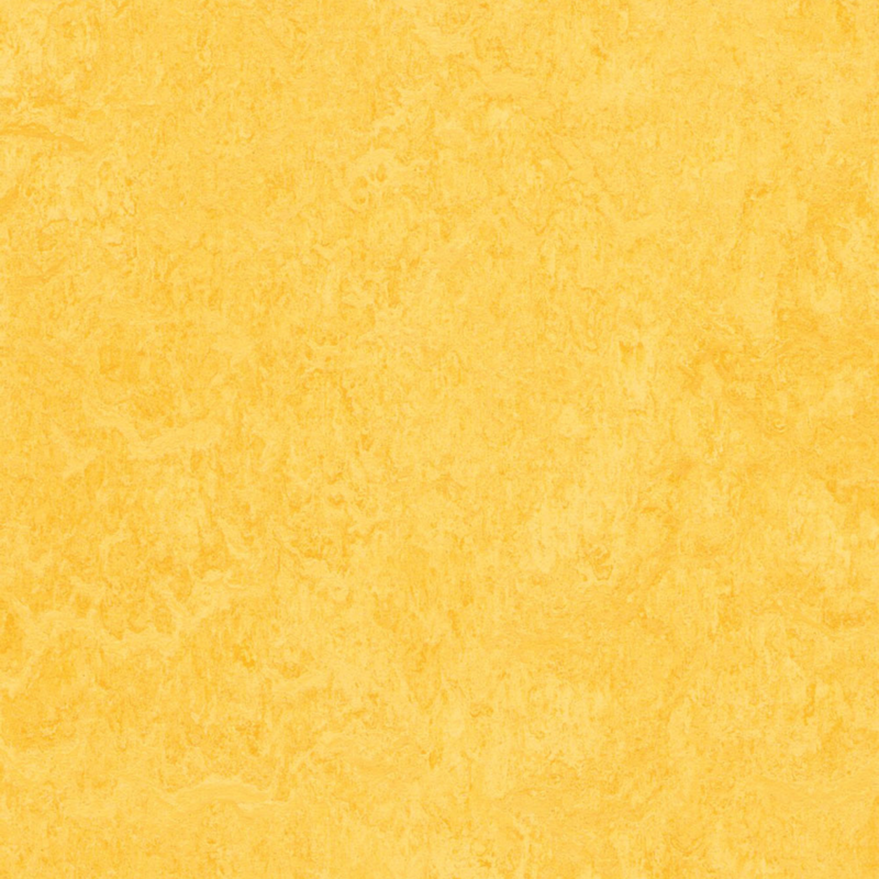Forbo Marmoleum CinchLoc Seal Laminate Flooring - 12 x 36 Inch Planks